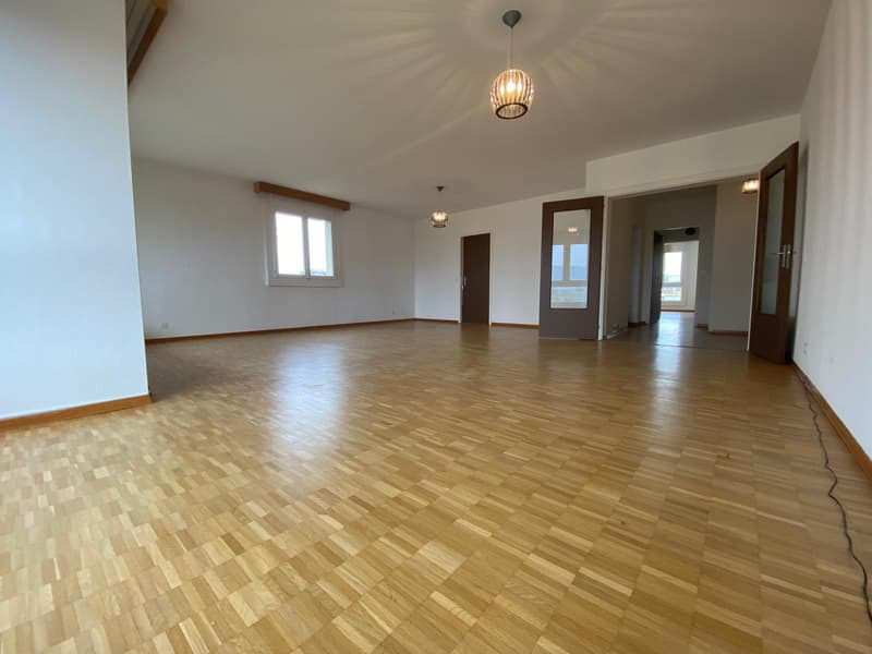 Exclusivité ? Appartement rénové de 4 chambres, 177 m² PPE, vue panoramique (Meyrin) (2)