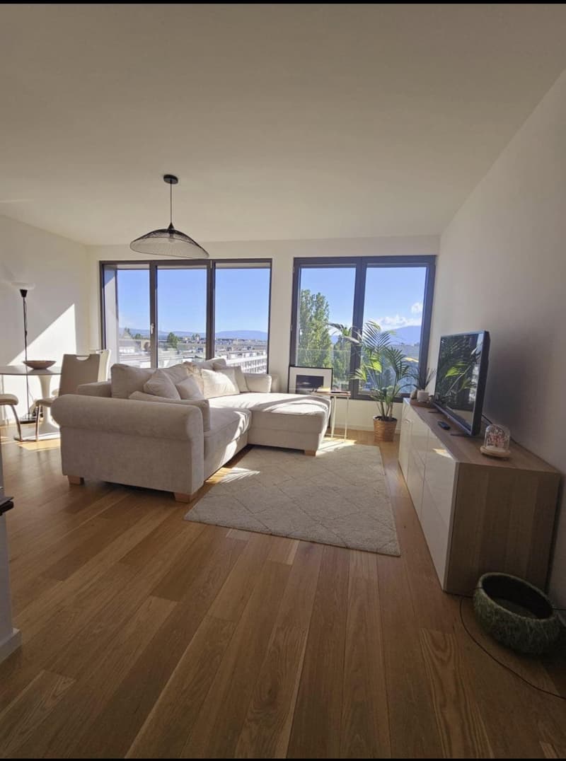 Appartement 3,5 pièces moderne et rénovée (4)
