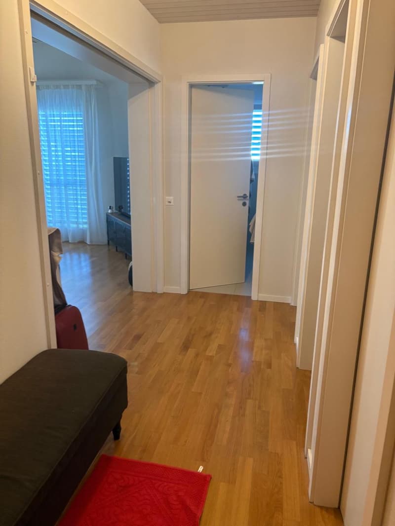 Appartement rénové 4 pièces (4)