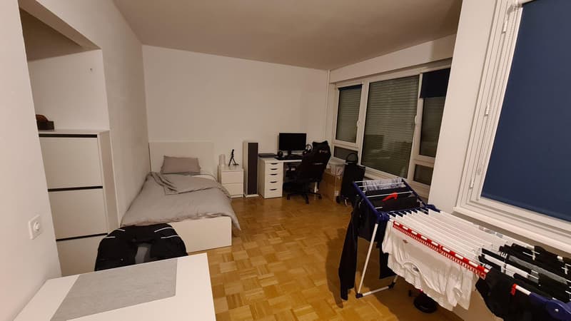 Charmant Studio avec balcon à Onex (1)