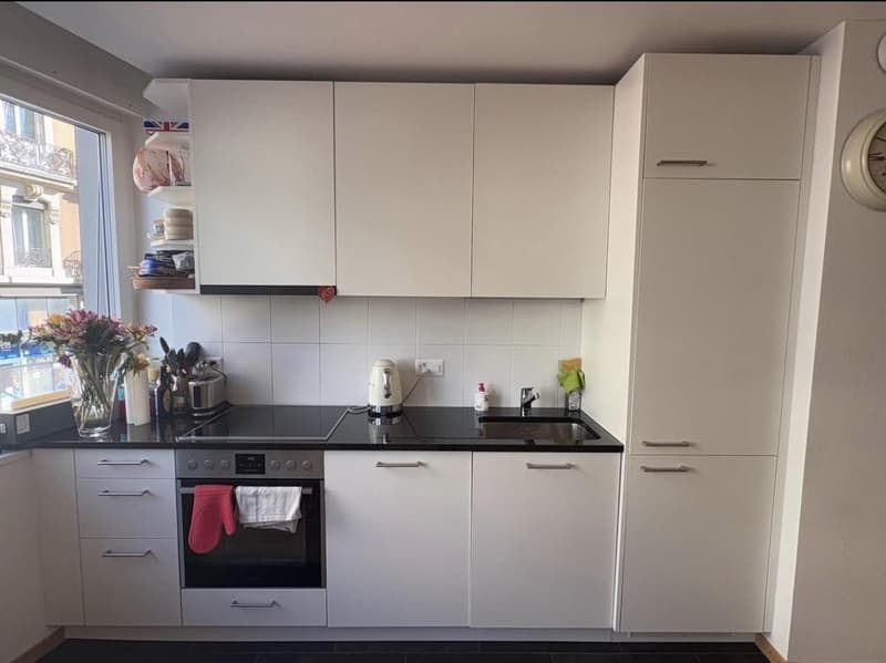 Bel appartement 2,5 pièces à la Jonction (2)