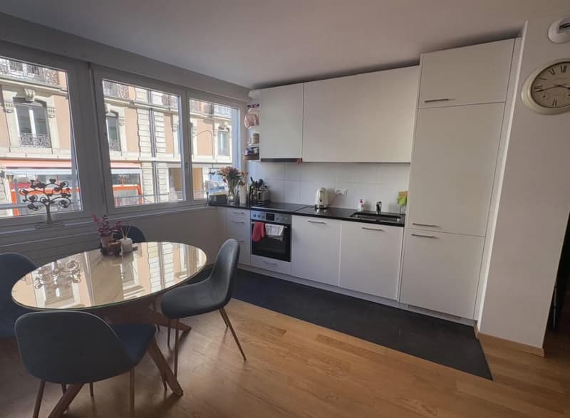 Bel appartement 2,5 pièces à la Jonction (3)