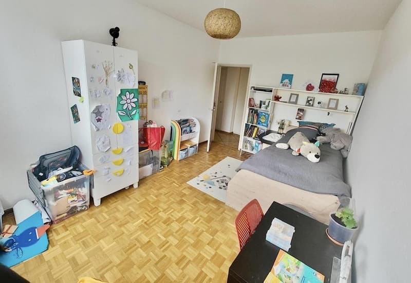 Spacieux appartement à proximité des organisations internationales (7)