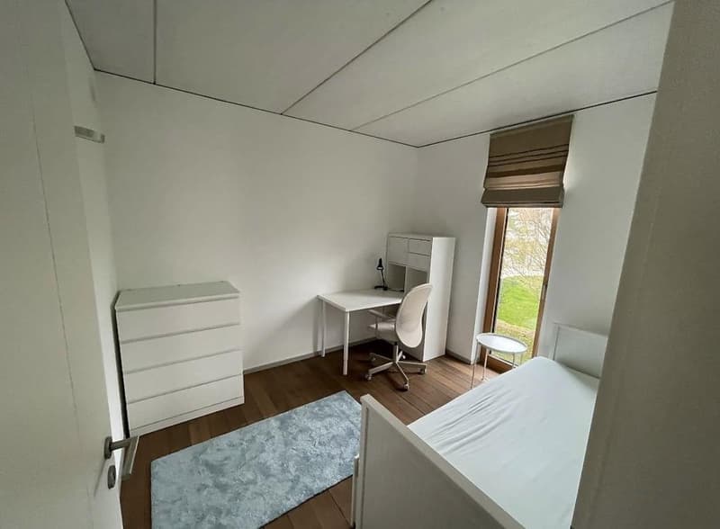 Bel appartement 3.5 pièces meublé (4)