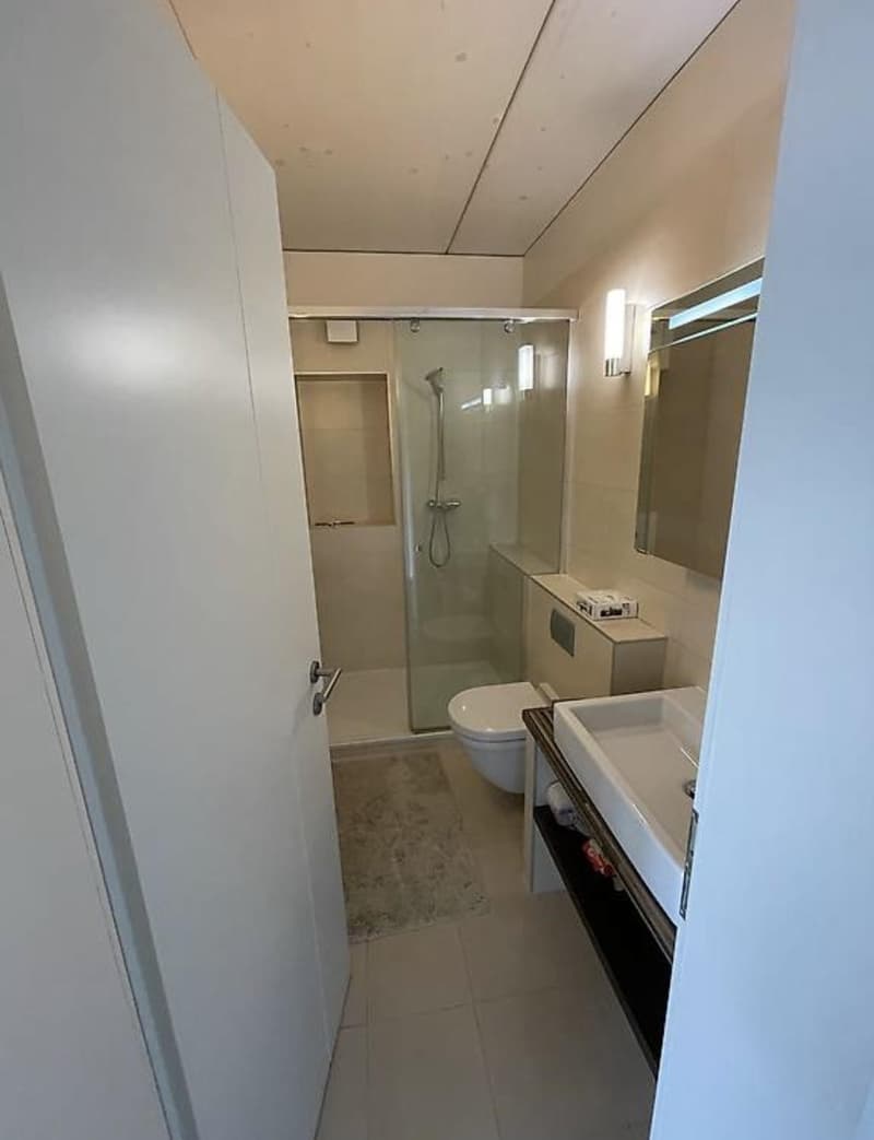 Bel appartement 3.5 pièces meublé (5)
