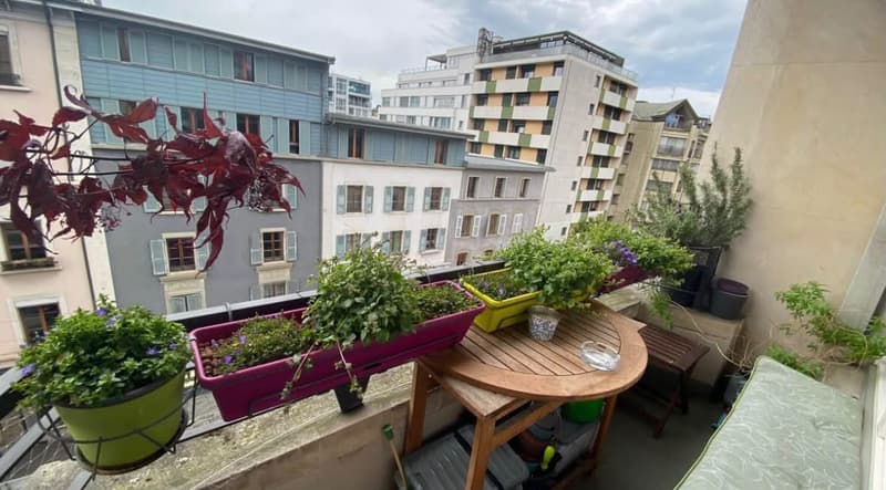 Appartement 3,5 pièces aux Eaux-Vives (7)