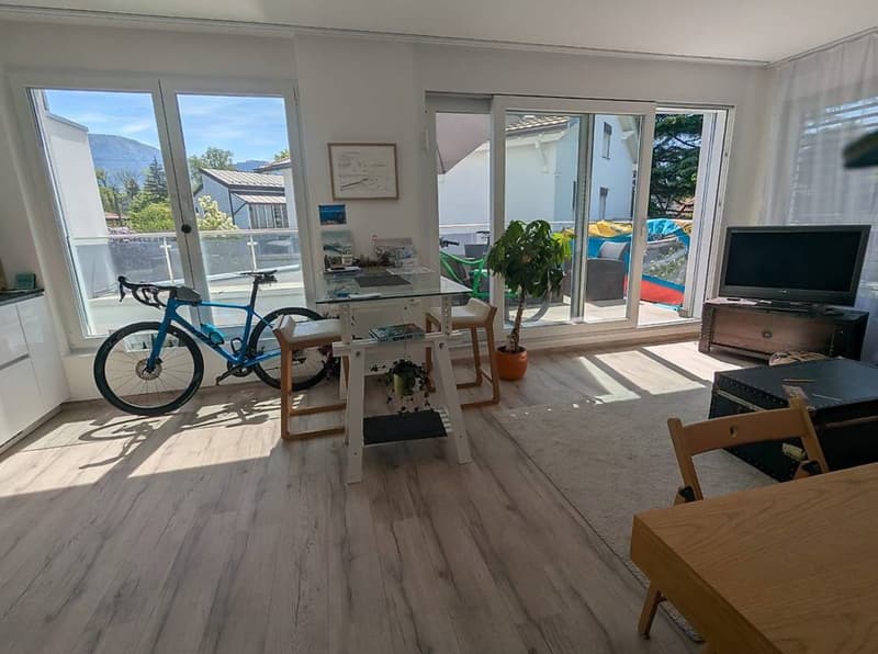 Appartement 3 pièces 60m2 situé Grand Lancy (2)