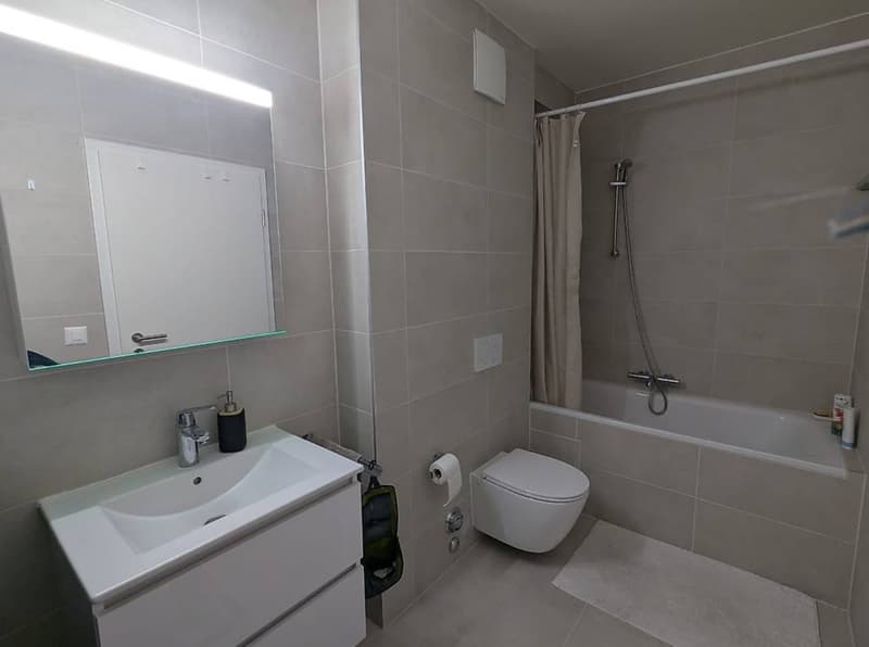 Appartement 3 pièces 60m2 situé Grand Lancy (5)