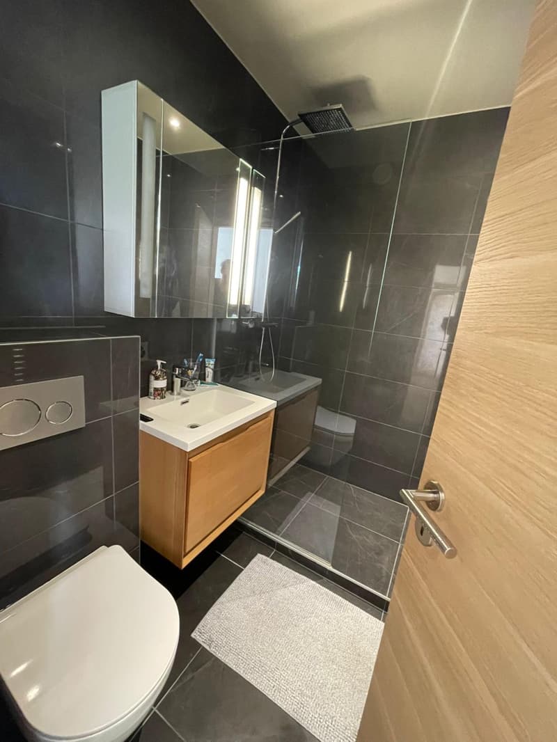 Magnifique appartement 3 pièces (4)