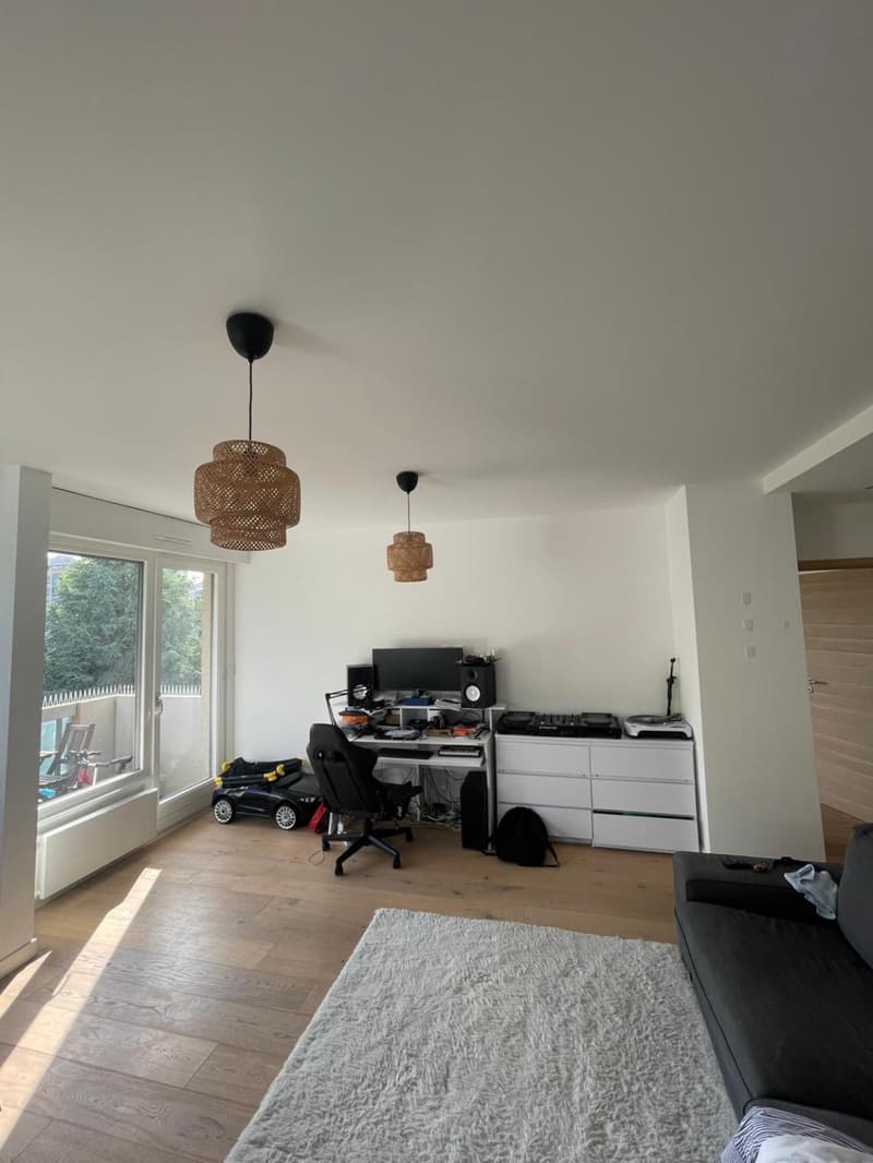 Magnifique appartement 3 pièces (2)