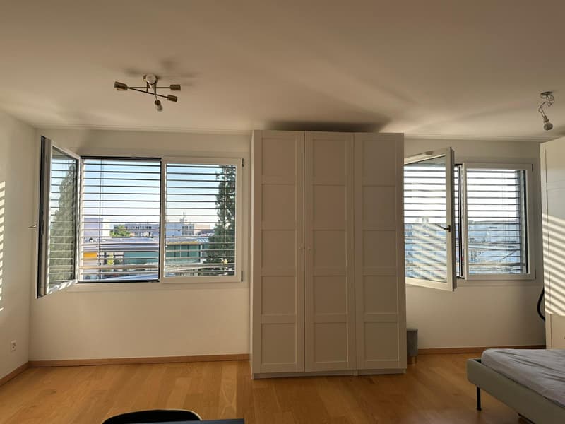 Appartement de 2 pièces à Champel avec vue sur le jet d'eau (4)