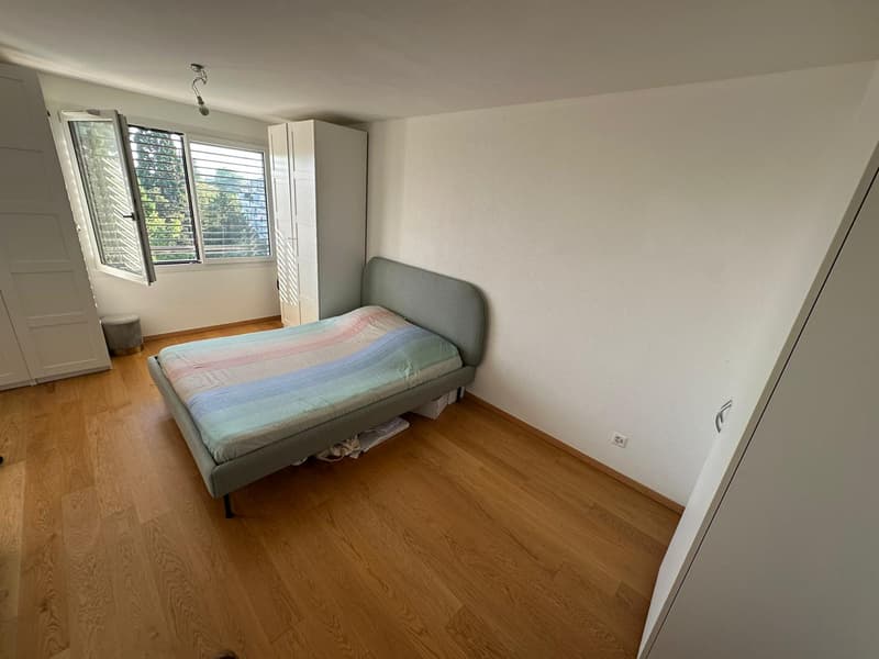 Appartement de 2 pièces à Champel avec vue sur le jet d'eau (5)