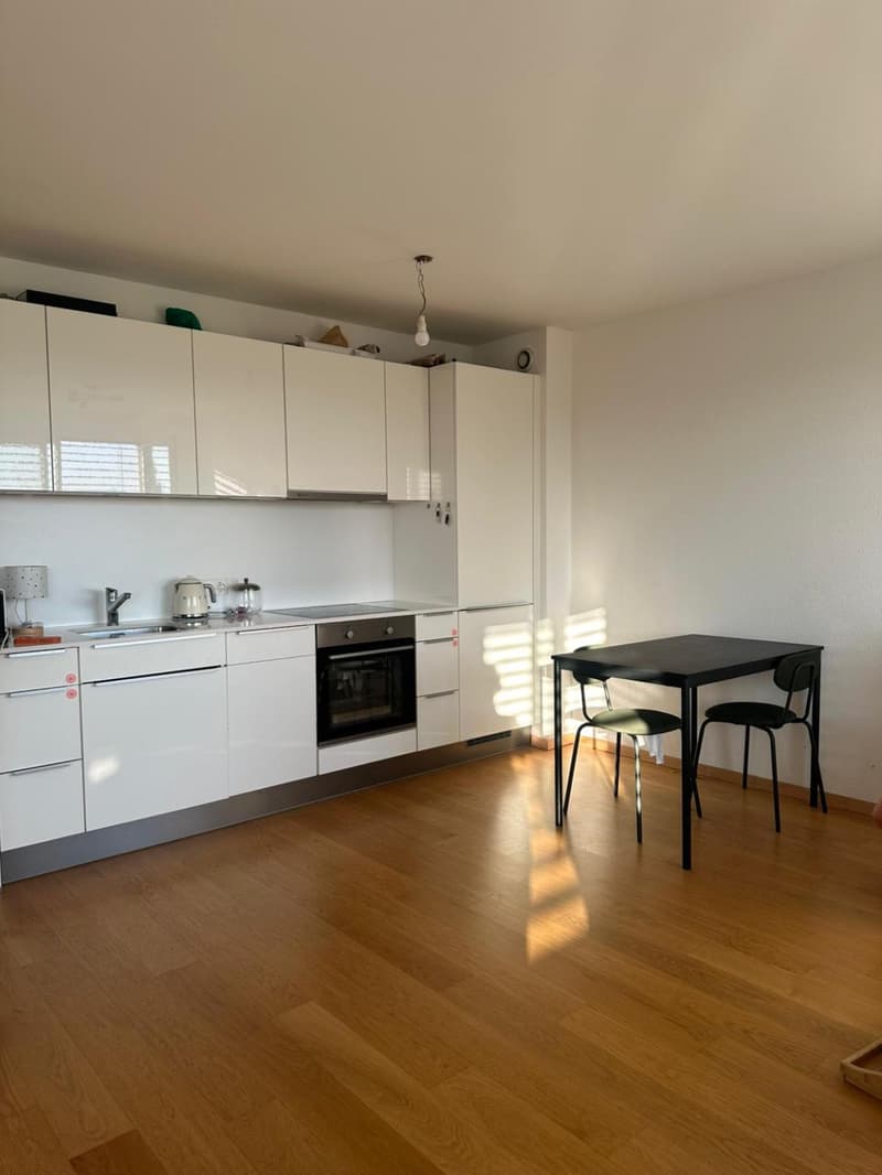 Appartement de 2 pièces à Champel avec vue sur le jet d'eau (2)