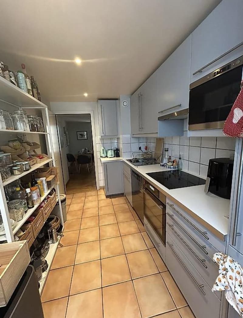 Bel appartement 4 pièces à proximité du Quai des Bergues (2)