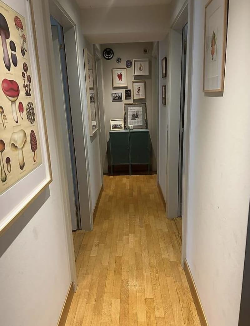 Bel appartement 4 pièces à proximité du Quai des Bergues (3)