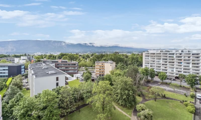 Grand duplex de 6 pièces avec vue panoramique à Onex (6)