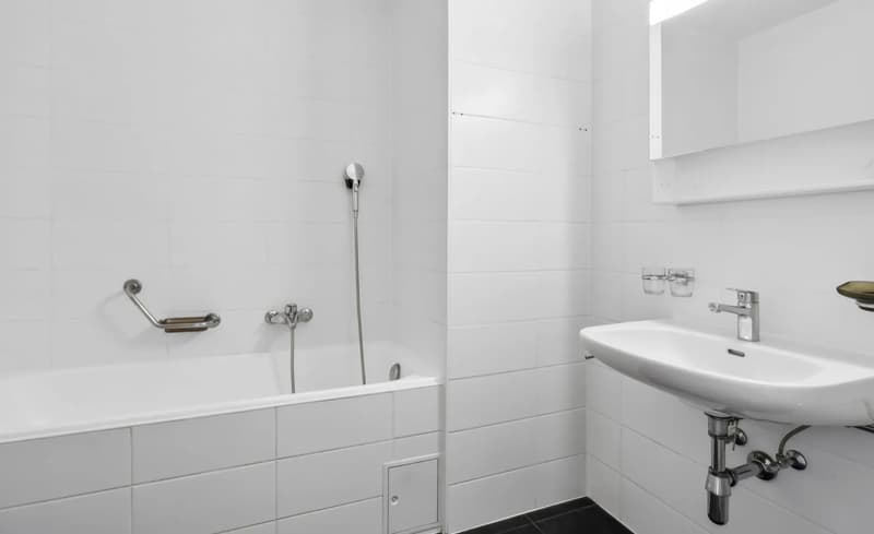 Grand duplex de 6 pièces avec vue panoramique à Onex (10)