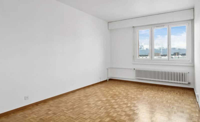 Grand duplex de 6 pièces avec vue panoramique à Onex (9)