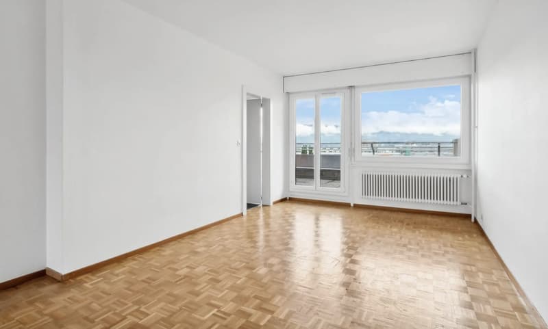 Grand duplex de 6 pièces avec vue panoramique à Onex (7)