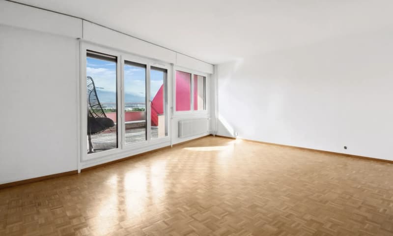 Grand duplex de 6 pièces avec vue panoramique à Onex (2)