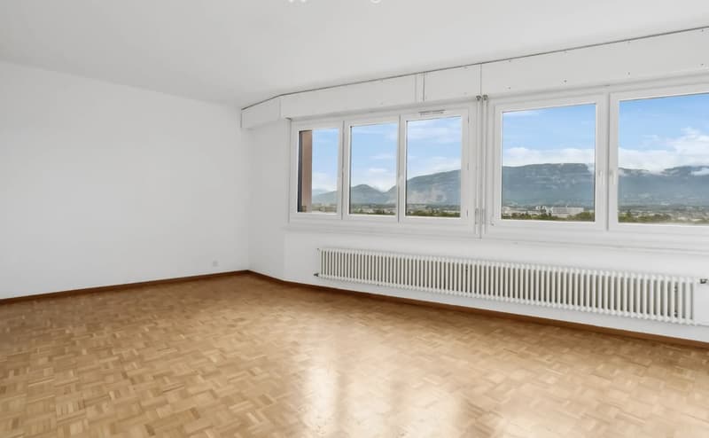 Grand duplex de 6 pièces avec vue panoramique à Onex (3)