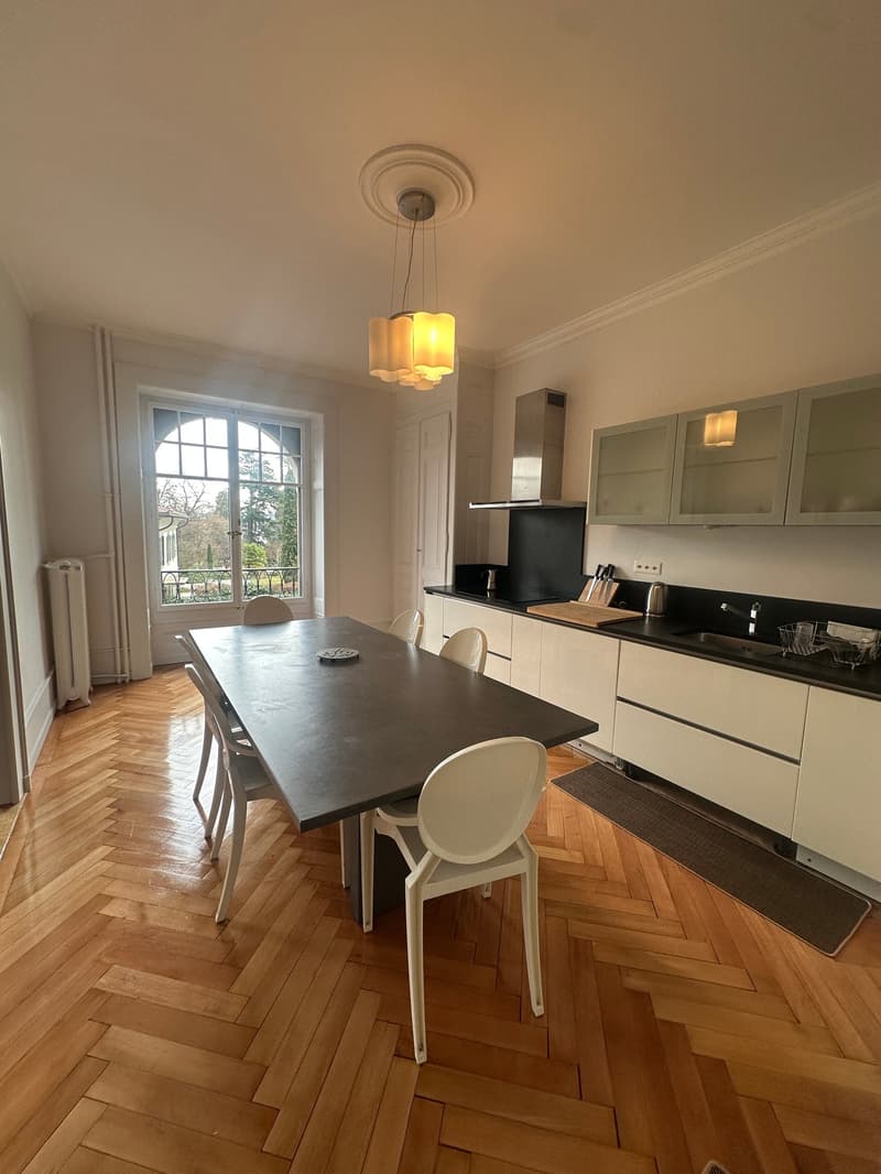 Appartement lumineux de 5.5 pièces à louer – Rue de Lausanne, Genève (4)