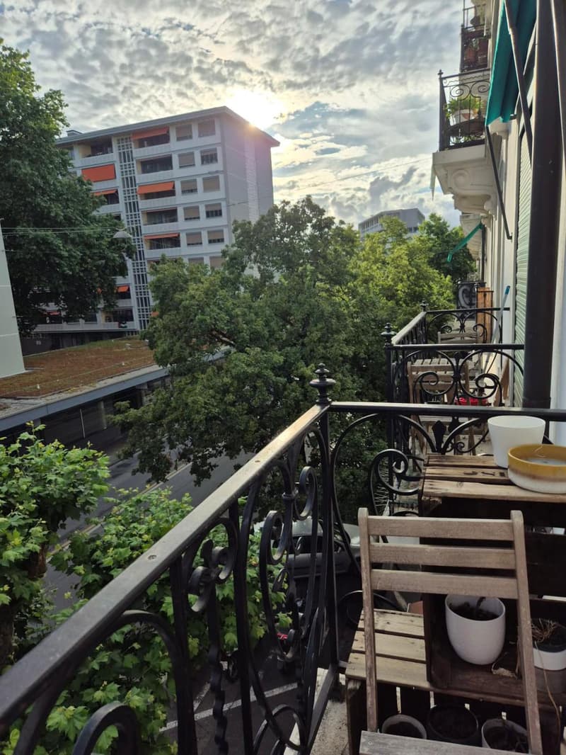 Appartement 3 pièces avec balcon - Genève centre (3)