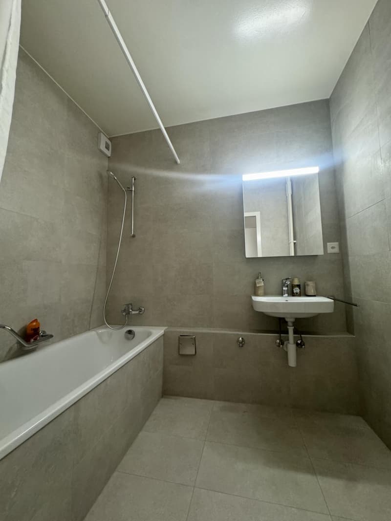 Grand appartement de 3,5 pièces a1 Carouge (7)