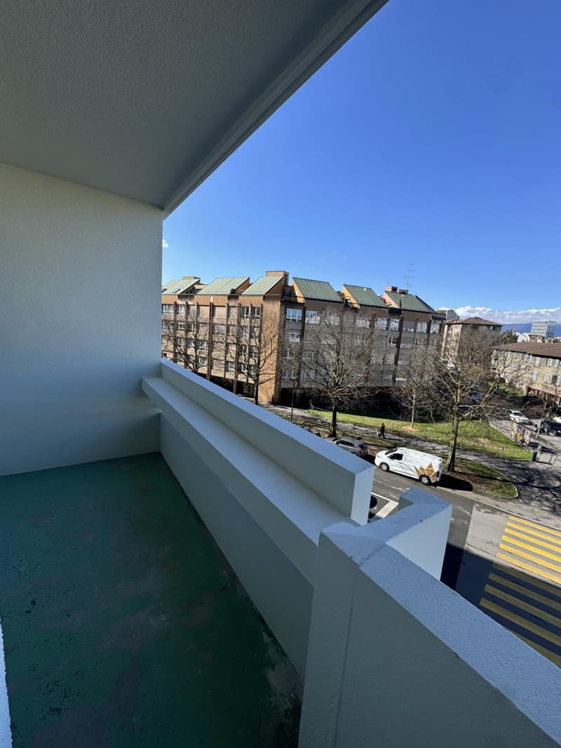 Grand appartement de 3,5 pièces a1 Carouge (6)
