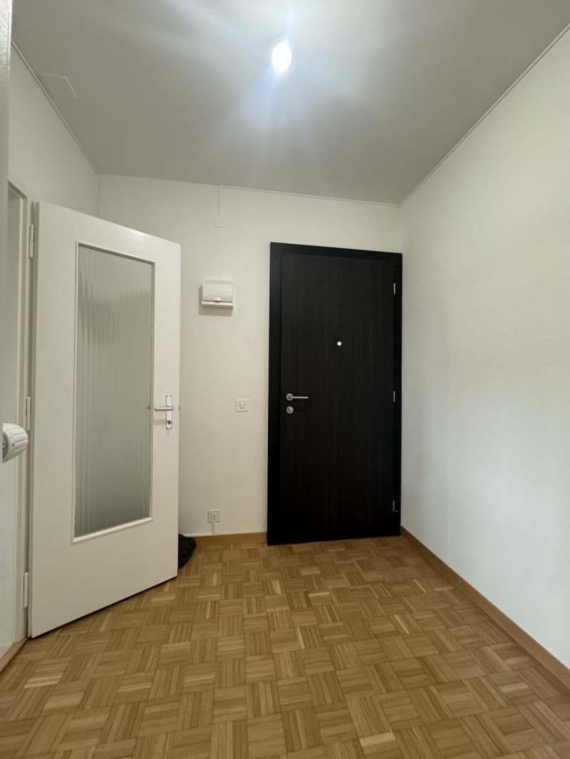 Grand appartement de 3,5 pièces a1 Carouge (5)