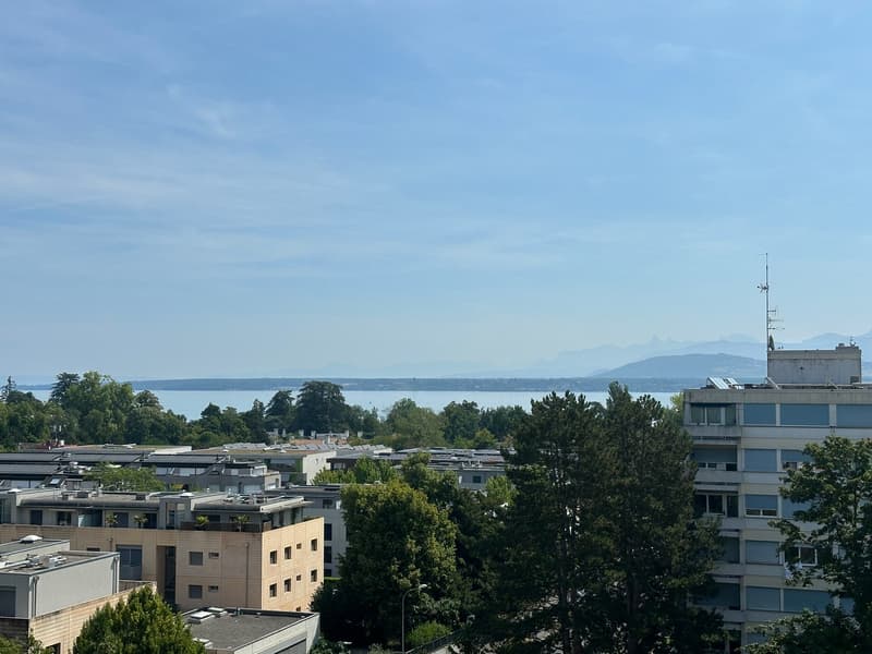 Appartement lumineux de 3 pièces avec balcon à Versoix (2)