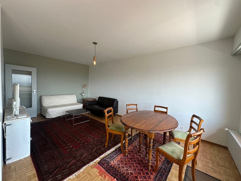 Appartement lumineux de 3 pièces avec balcon à Versoix (6)