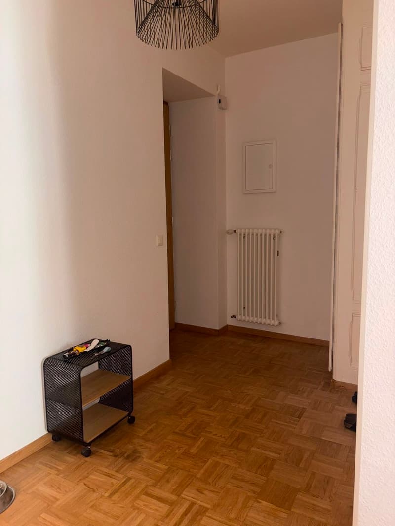 charmant appartement proche de l'onu (4)