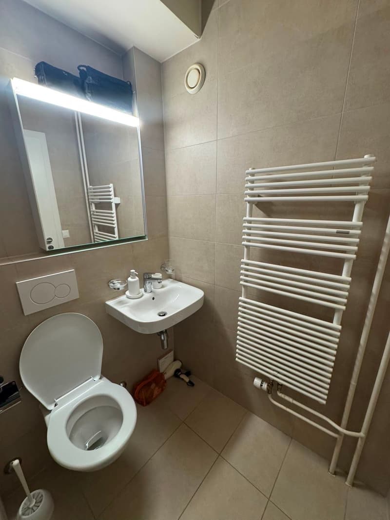 charmant appartement proche de l'onu (6)