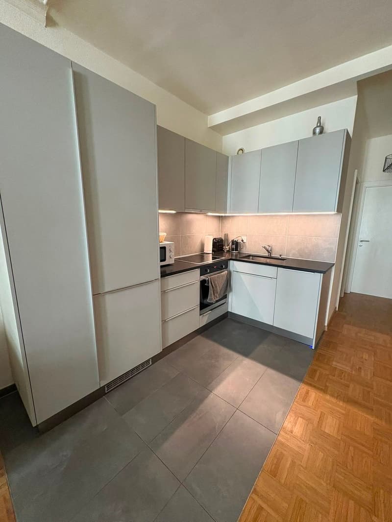 charmant appartement proche de l'onu (1)