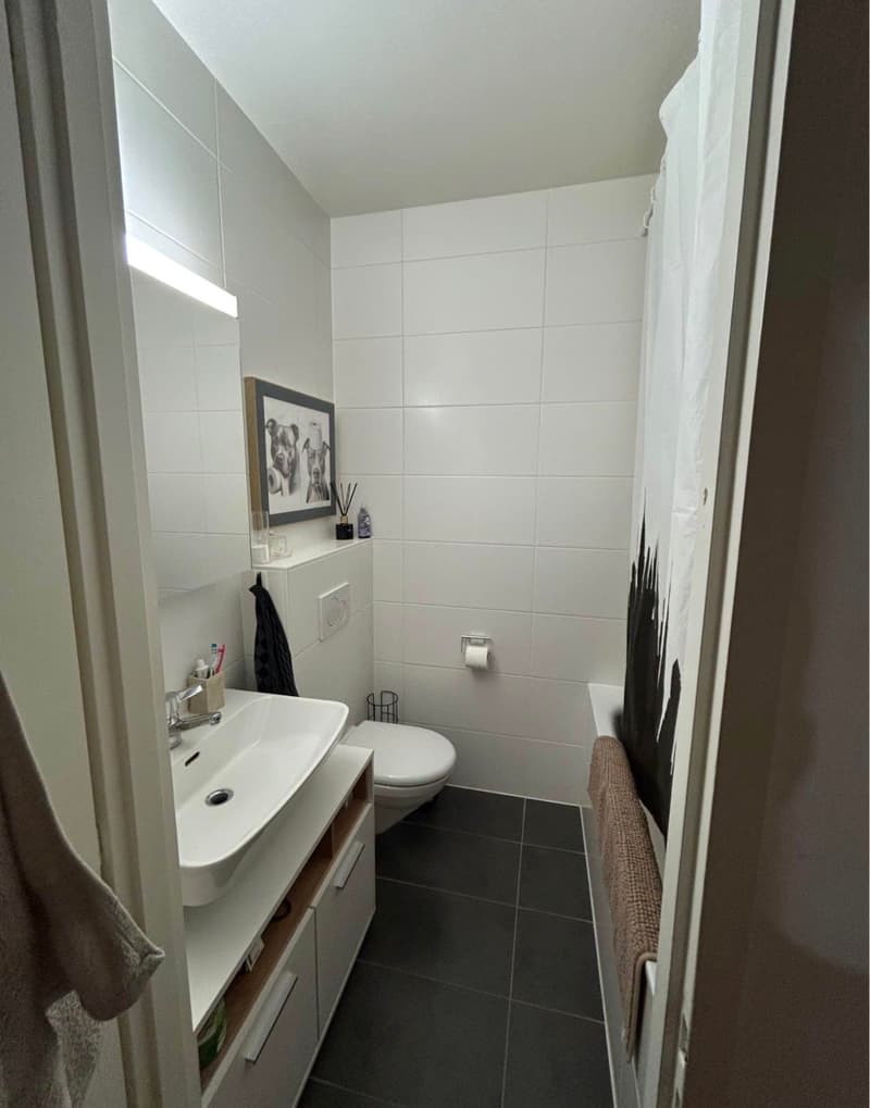 Magnifique appartement 4 pièces avec balcon et parking (7)
