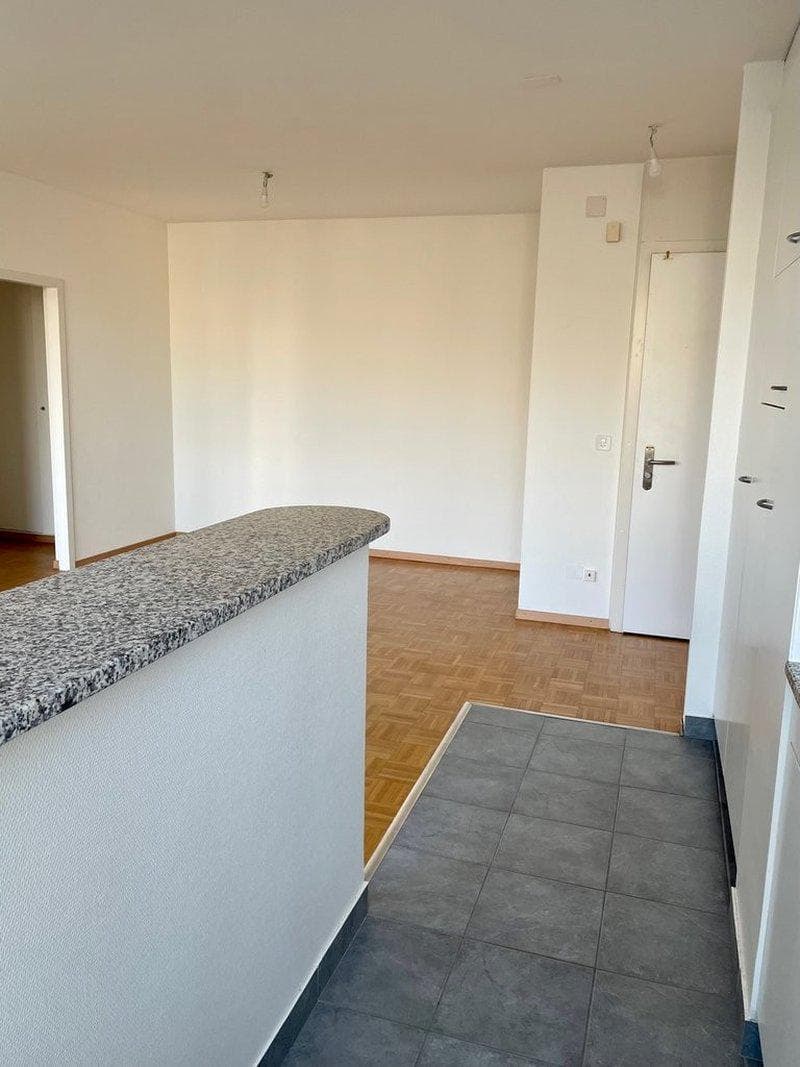 Appartement 2,5 pièces à Vernier (3)