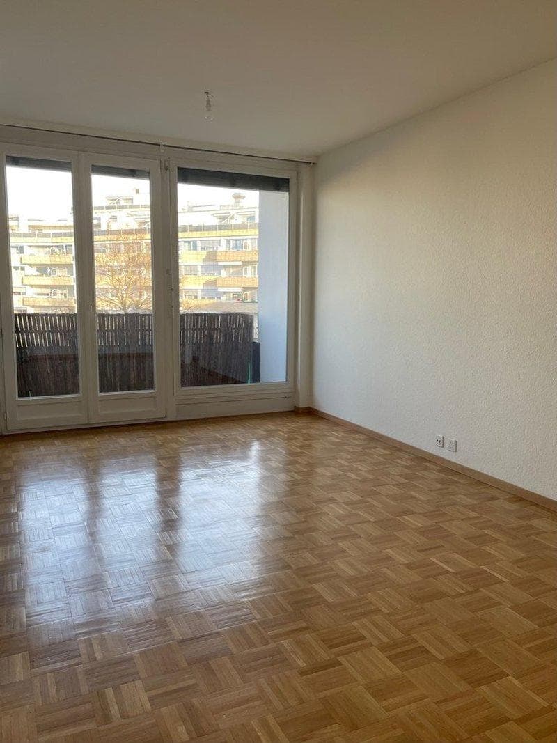 Appartement 2,5 pièces à Vernier (2)