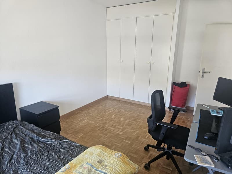 Charmant appartement 3,5 pièces au coeur de Genève (7)