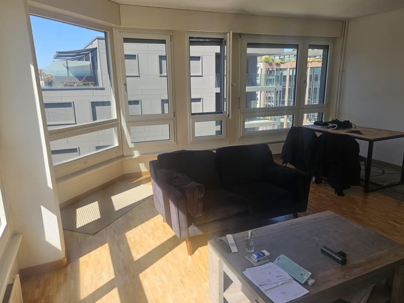 Charmant appartement 3,5 pièces au coeur de Genève (2)