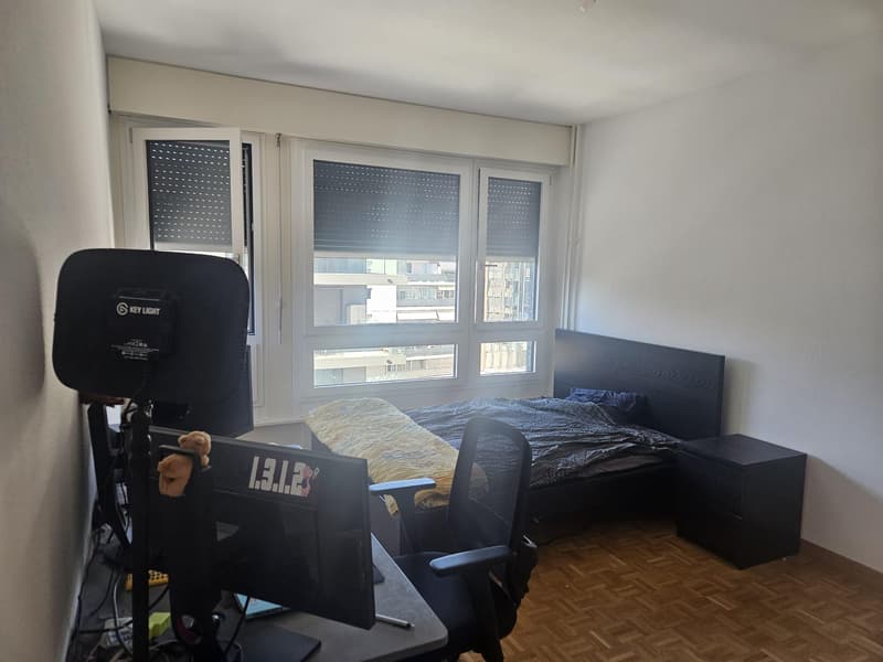 Charmant appartement 3,5 pièces au coeur de Genève (6)