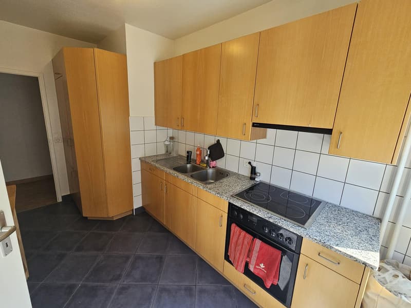 Charmant appartement 3,5 pièces au coeur de Genève (5)