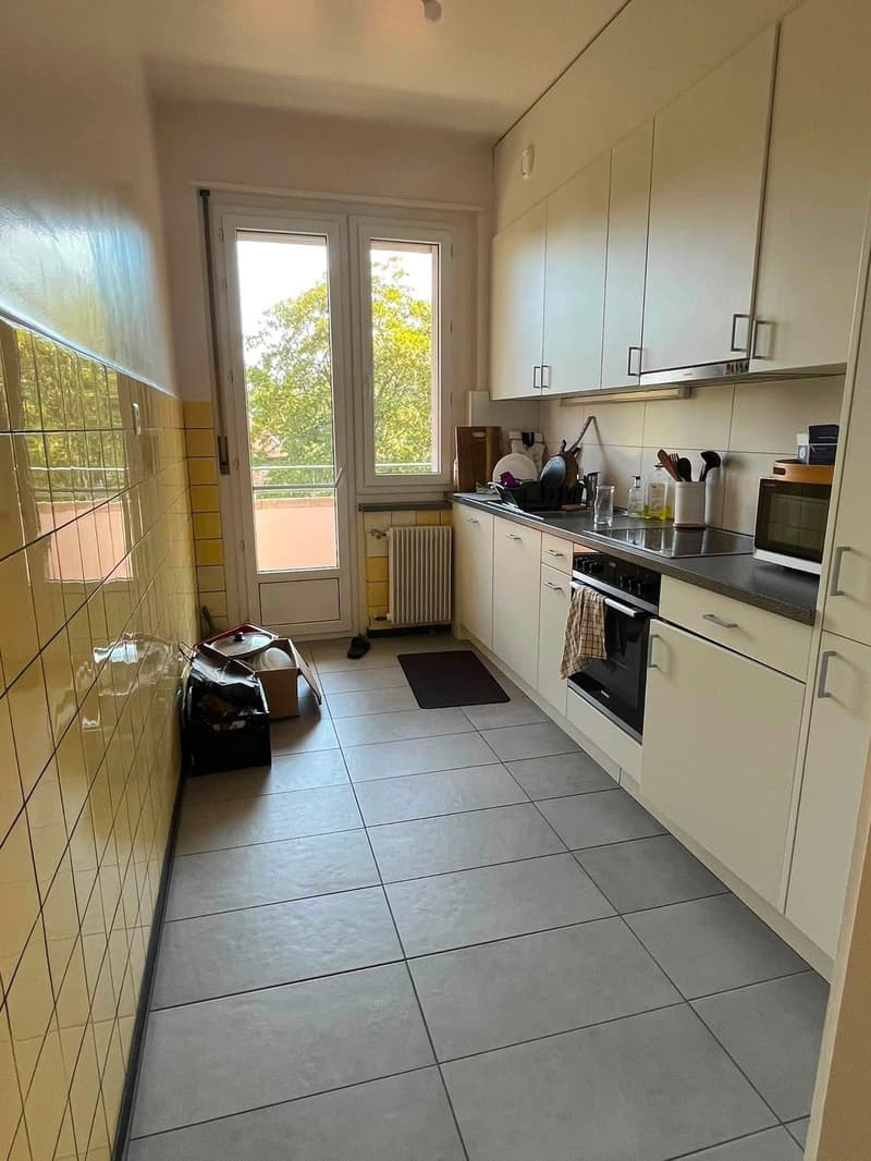 Appartement lumineux de 4.5 pièces avec balcon au cœur de Genève (4)