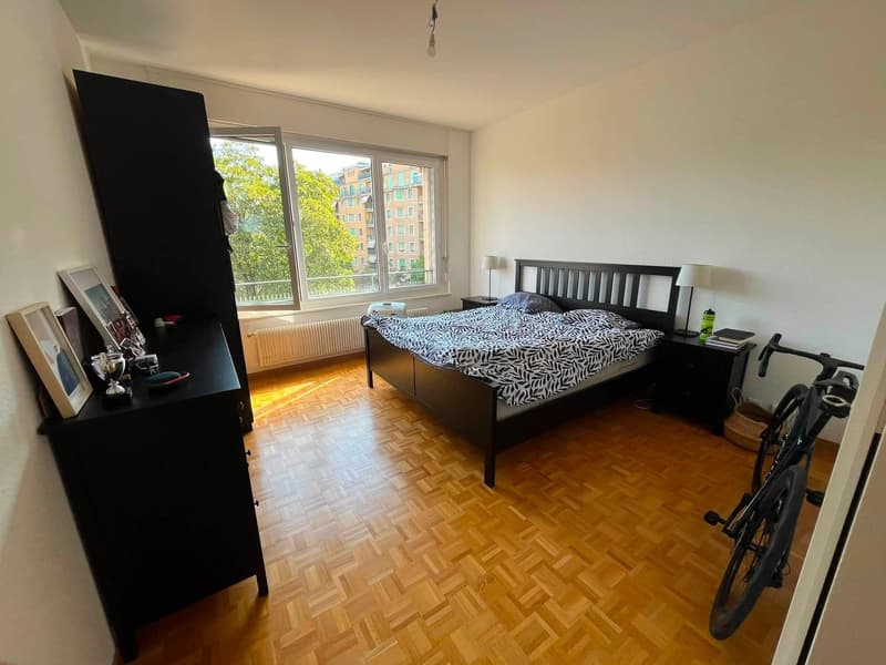 Appartement lumineux de 4.5 pièces avec balcon au cœur de Genève (2)