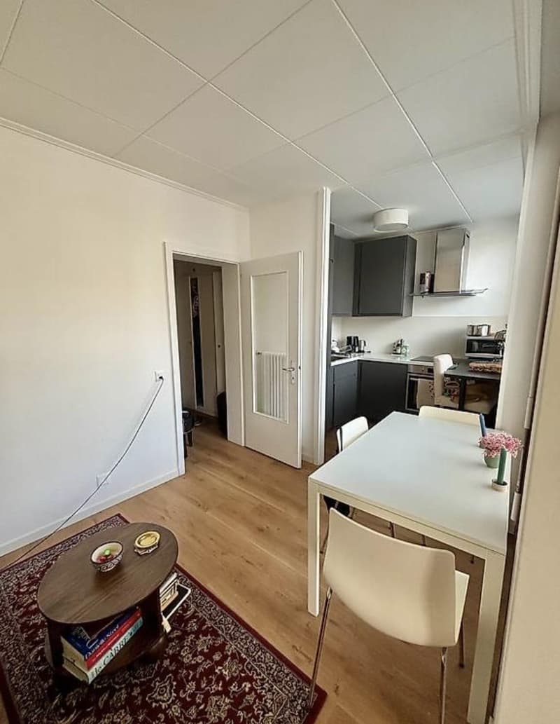 Charmant appartement 2.5 pièces à Champel (3)