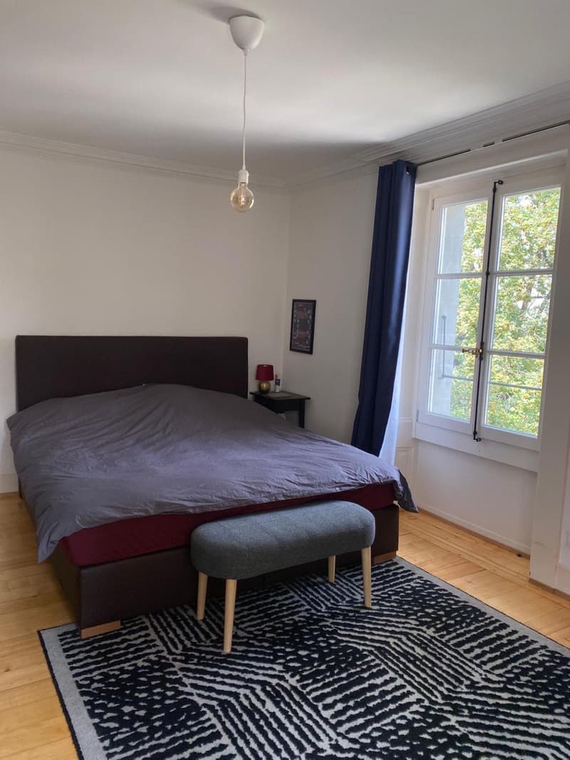 Charmant 3.5 pièces au coeur de Carouge (5)