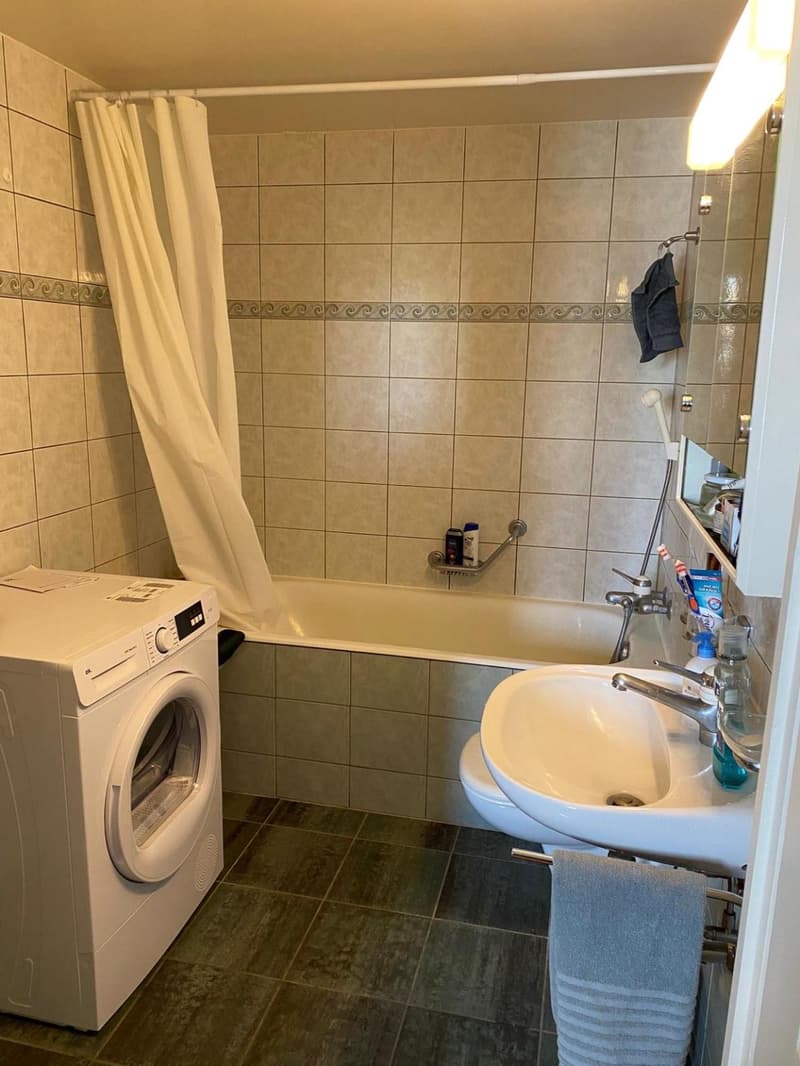 Charmant 3.5 pièces au coeur de Carouge (4)