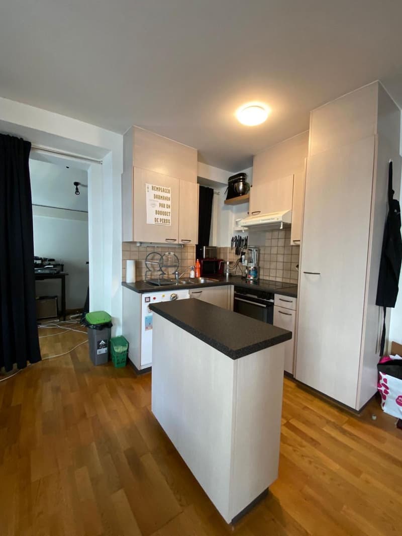 Charmant 3.5 pièces au coeur de Carouge (3)