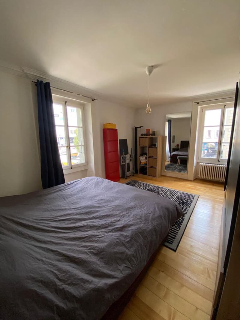 Charmant 3.5 pièces au coeur de Carouge (6)