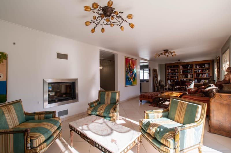 Superbe villa avec piscine et terrain constructible aux portes de Genève (4)